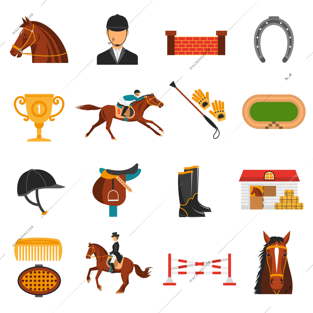 Flat color icons set with equipment for  horse riding isolated vector illustration.