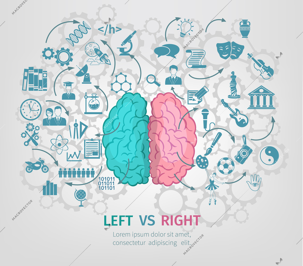 Human brain concept with left and right hemispheres flat vector illustration