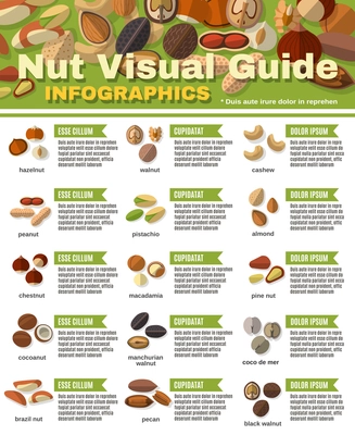 Nuts infographics set with peanut hazelnut pistachio walnut vector illustration