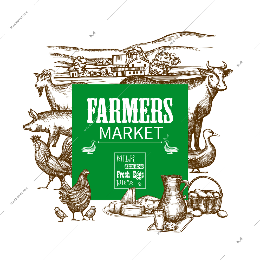 Farm market invitation frame with hand drawn animals and food vector illustration