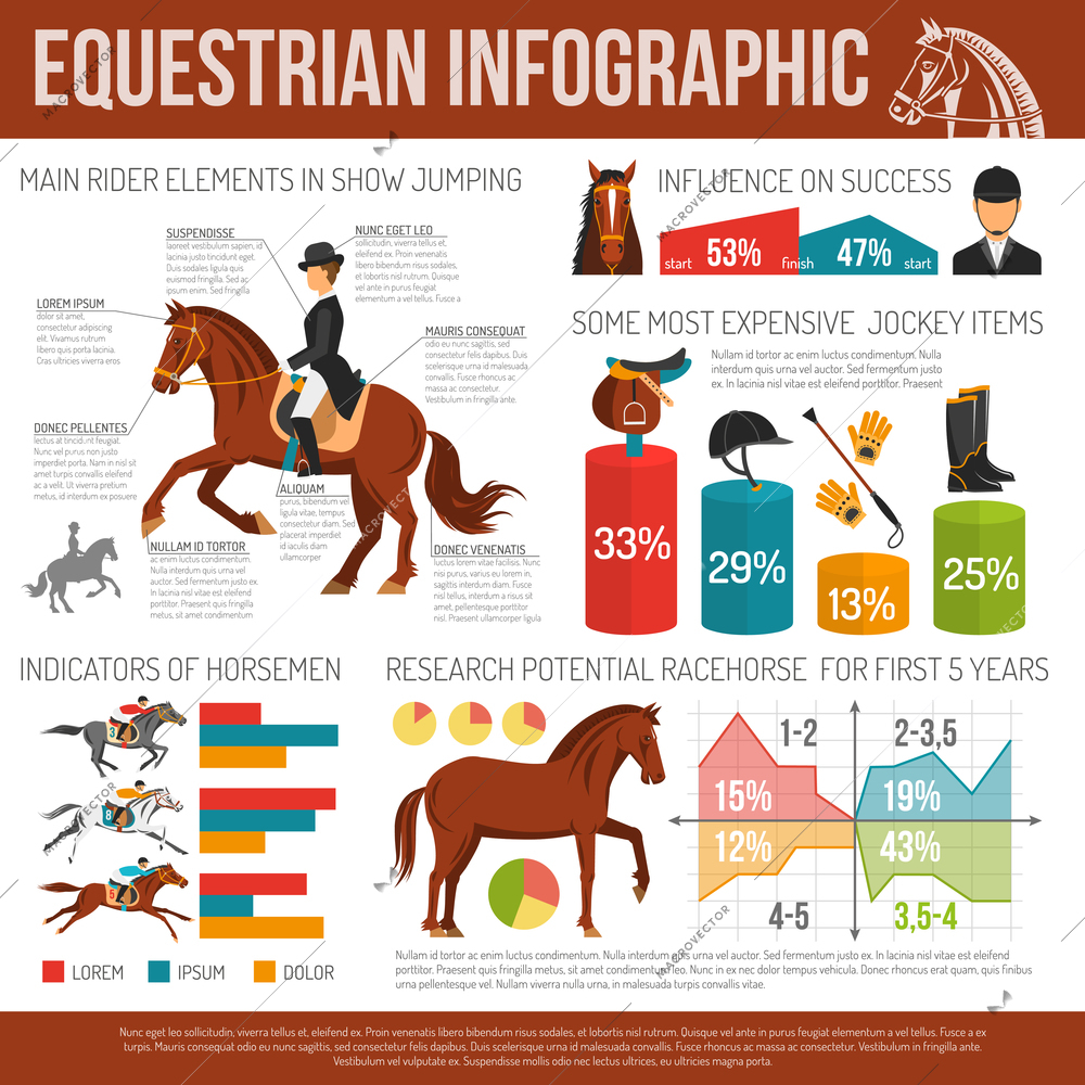 Infographic equestrian sport with jockey items  and research potential  racehorse flat  vector illustration.
