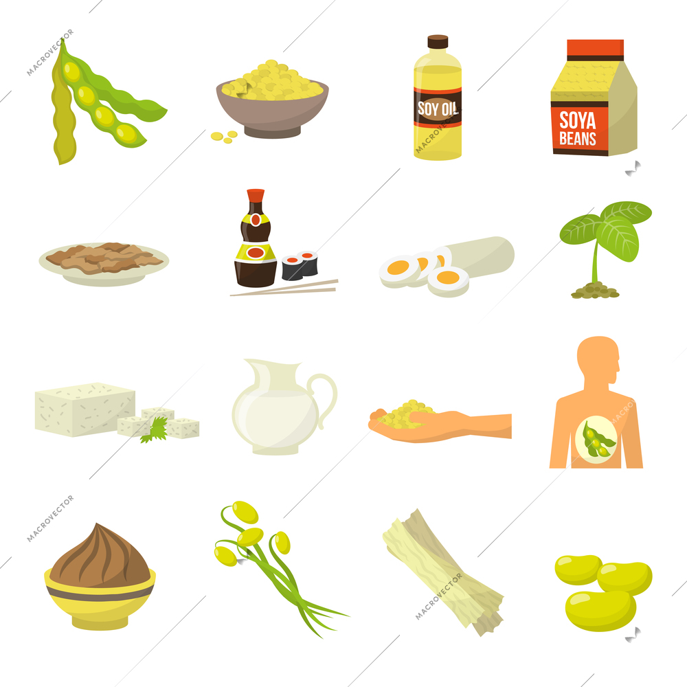Soy food icons - soy milk soy beans soy sauce soy meat tofu soy oil vector illustration