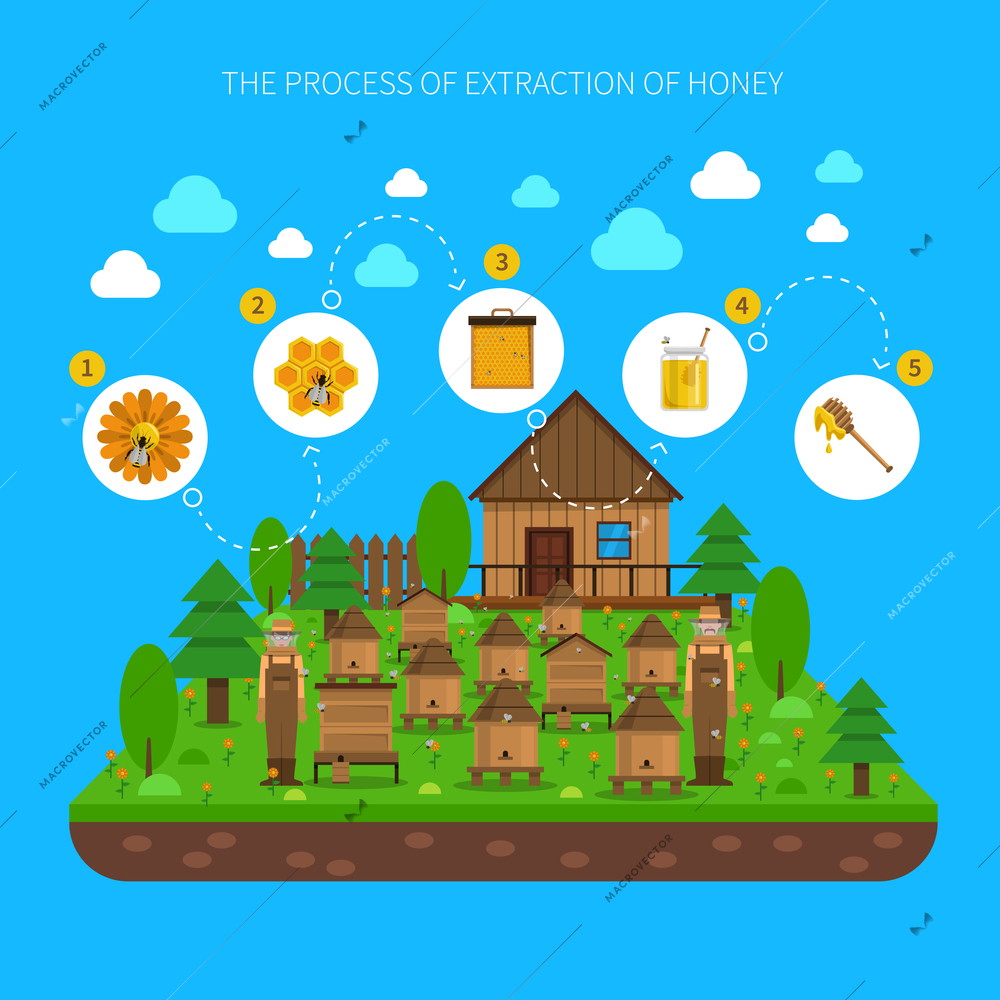 Process of honey extraction concept with several steps on blue background flat vector illustration