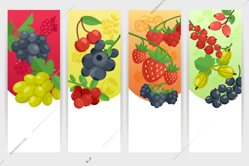 Berries with nature and fresh tagline color vertical banner set isolated vector illustration