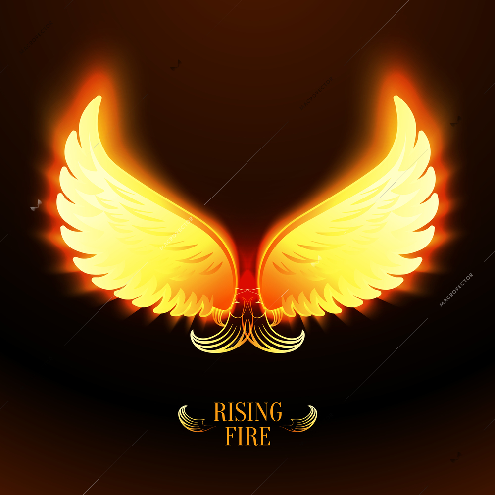 Bright glowing fire angel wings vector illustration