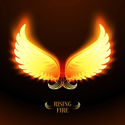 Bright glowing fire angel wings vector illustration