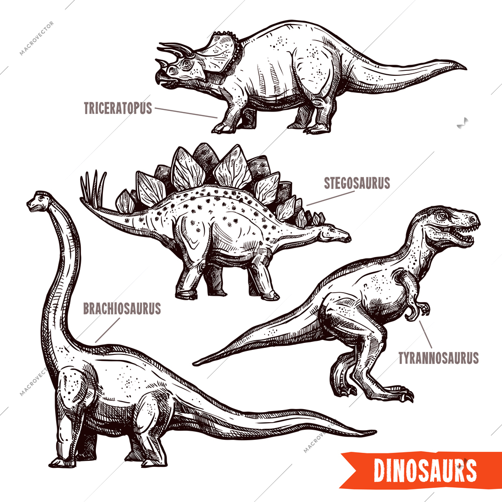 Prehistoric dinosaurs 4 diverse jurassic reptiles animals hand drawn pictograms collection black doodle abstract isolated vector illustration