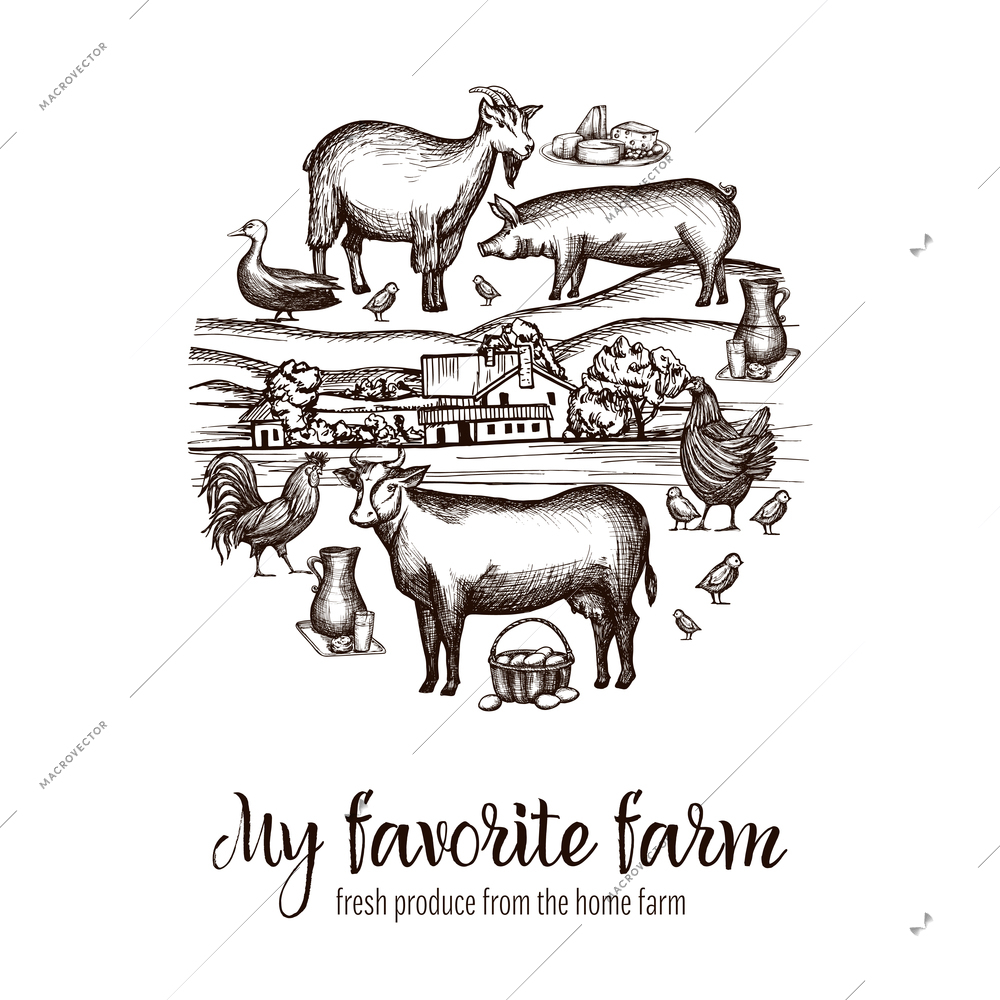 Farmers market poster with hand drawn livestock animals food and village on background vector illustration