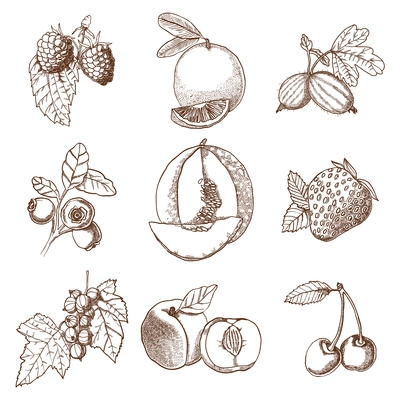 Decorative icons set of hand drawn berries and fruits in retro style isolated vector illustration