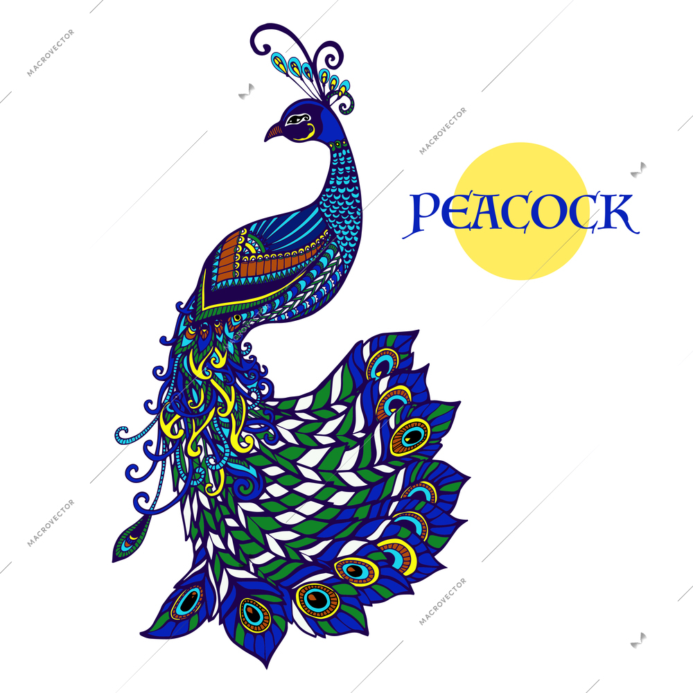 Exotic colorful stylized peacock pictogram for card invitations and home art wall decorations design abstract vector illustration