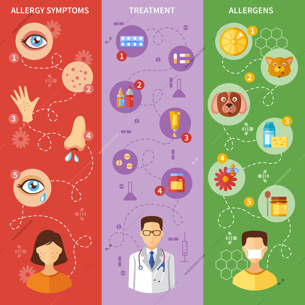 Allergy vertical banners with symptoms medical treatment and various allergens isolated vector illustration