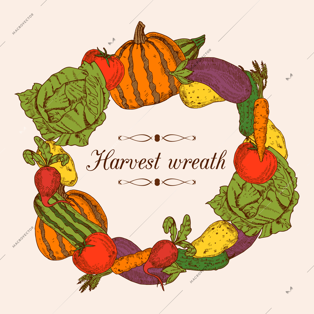 Colorful decorative frame in shape of round wreath from fresh vegetables vector illustration