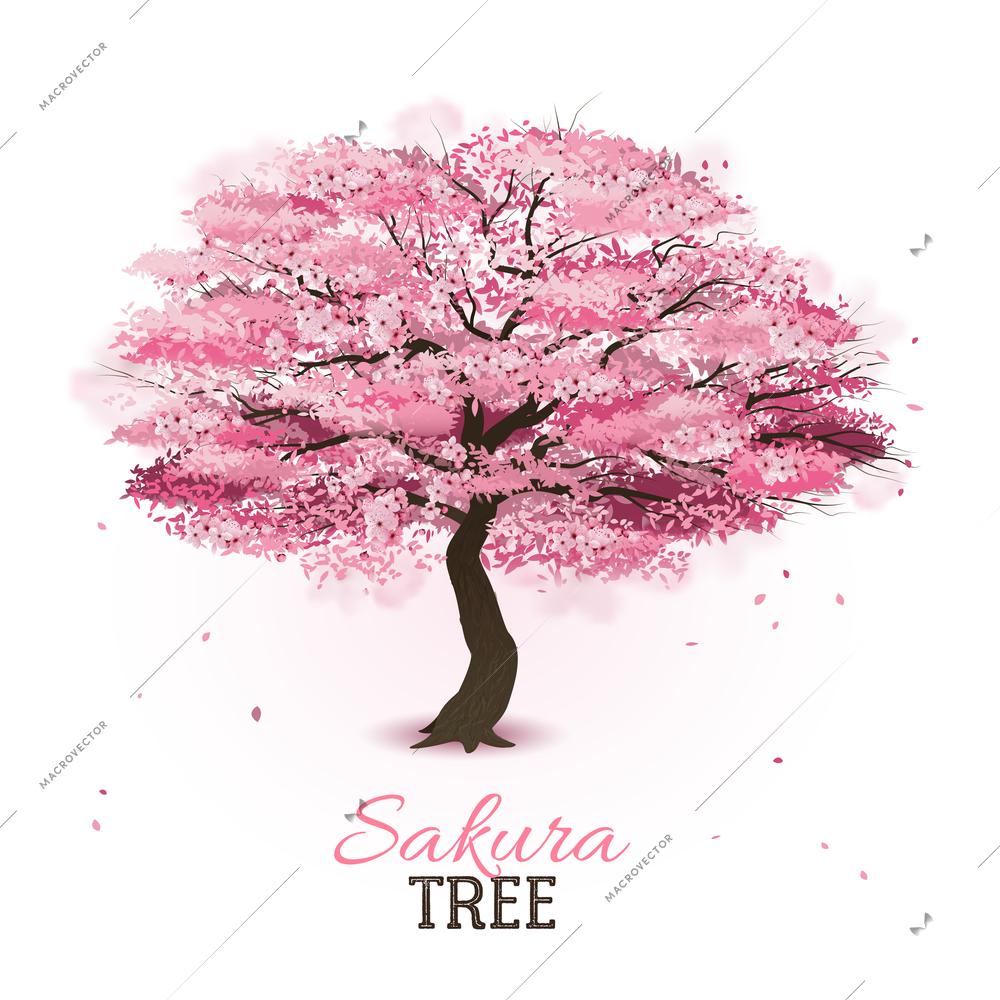 Realistic pink blossoming spring japanese sakura cherry tree vector illustration