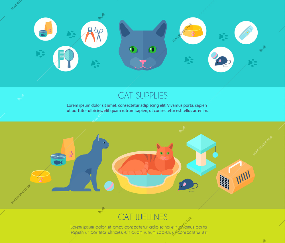 Indoor cats care information and  supplies 2 horizontal flat banners composition poster abstract isolated vector illustration