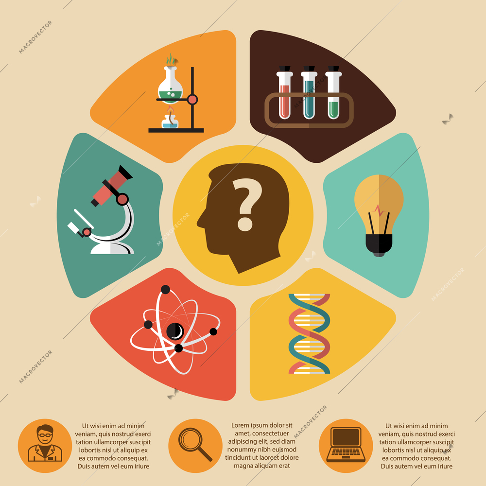 Chemistry bio technology science flat infographics layout design elements for school education presentation vector illustration