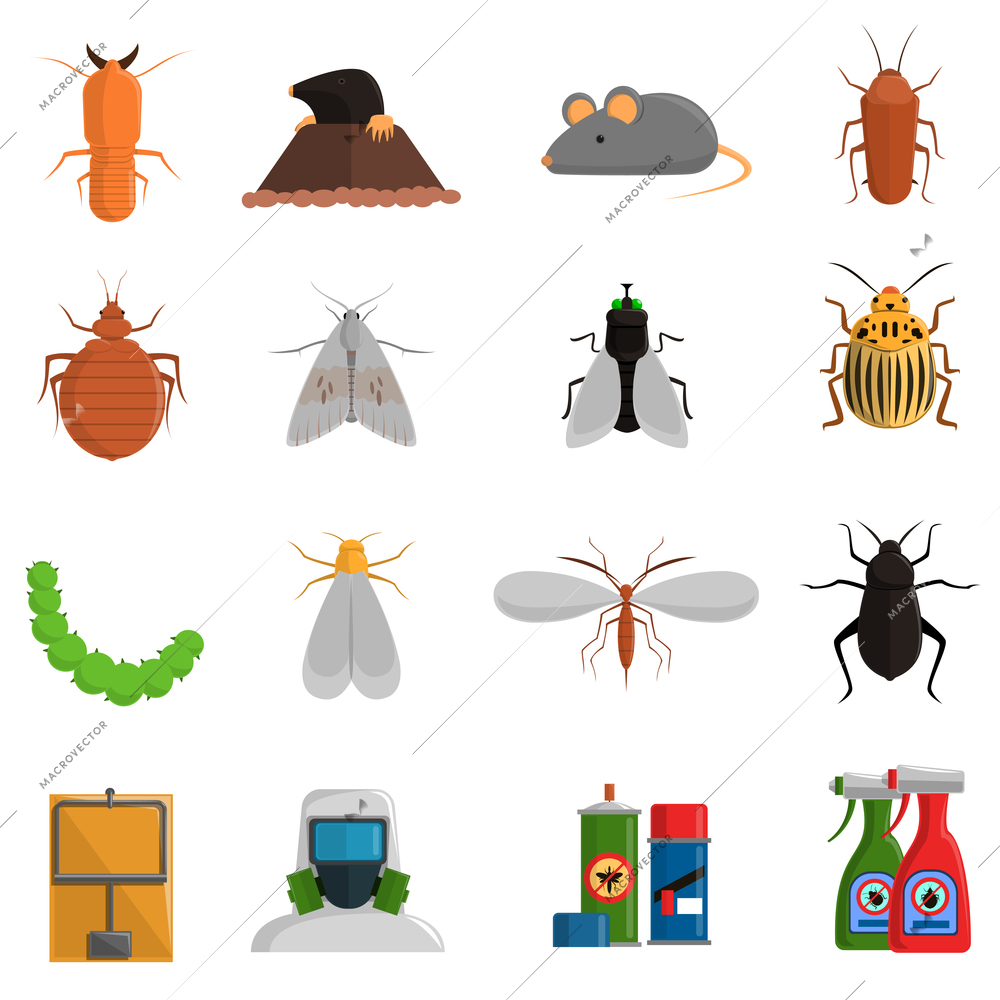 Pest and and harmful insects flat icons set isolated vector illustration
