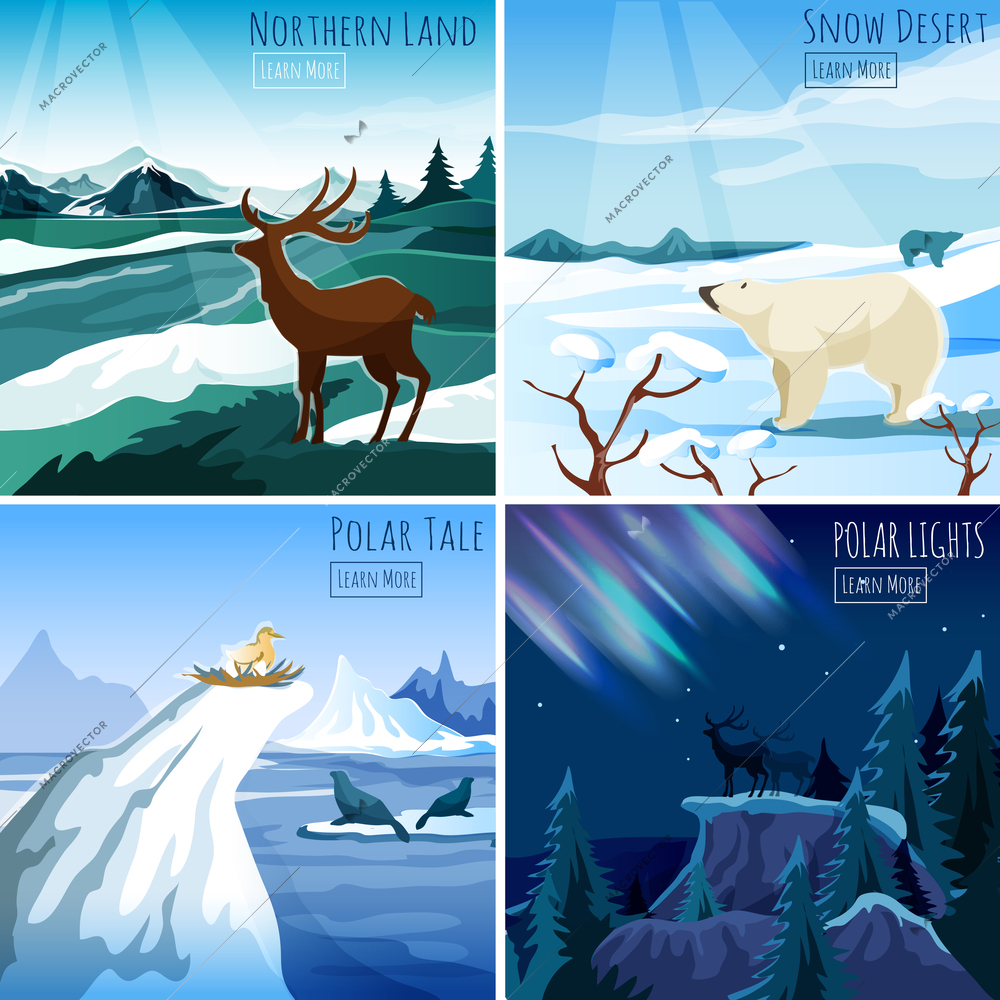 Northern landscape 4 flat icons square composition for interactive  webpage with polar lights abstract isolated vector illustration