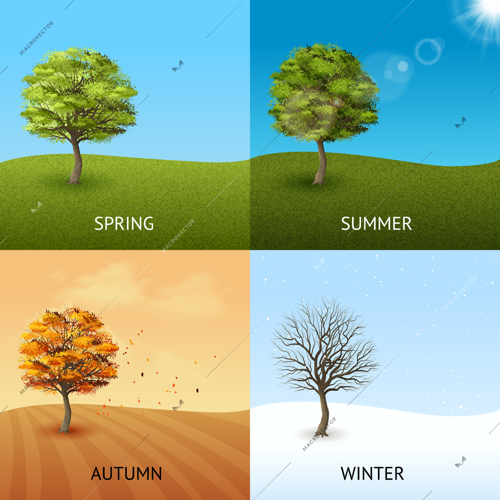 Four season design concept set with trees on sky background isolated vector illustration