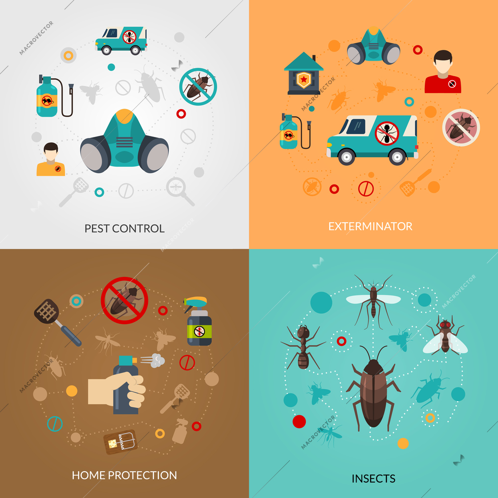 Home pest control services 4 flat icons square composition for detecting exterminating insects and rodents abstract isolated vector illustration