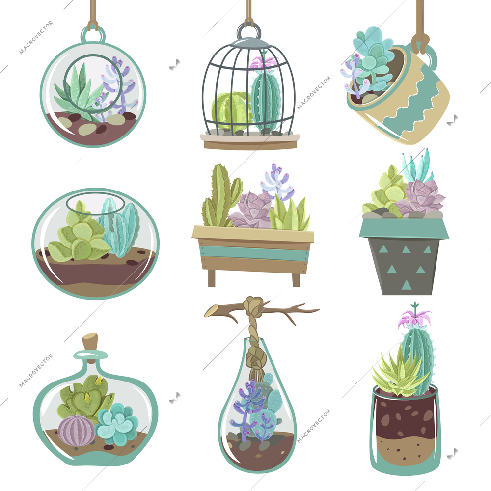 Growing succulents icons set with pots and soil flat isolated vector illustration