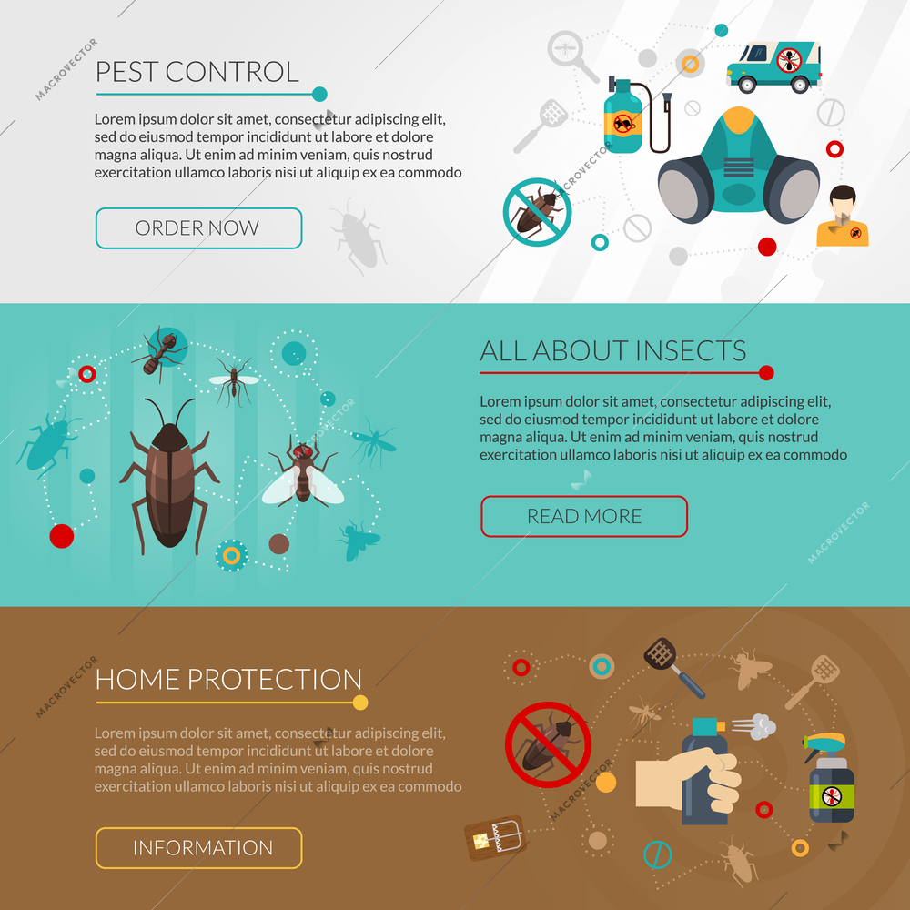 Interactive website for information about insects pest control and extermination 3 flat horizontal banners set isolated vector illustration
