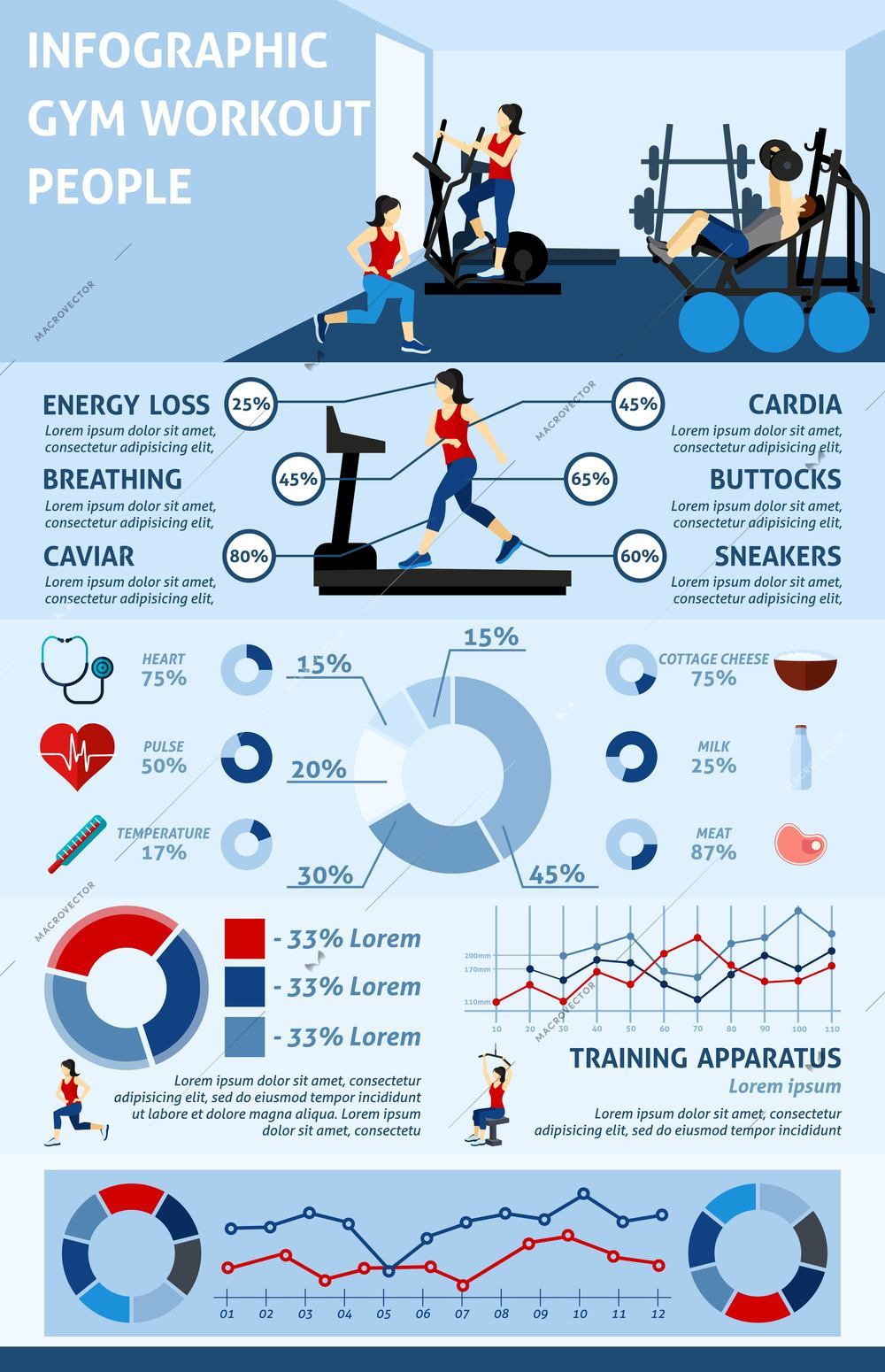 Gym workout infographics set with people doing sports and charts vector illustration