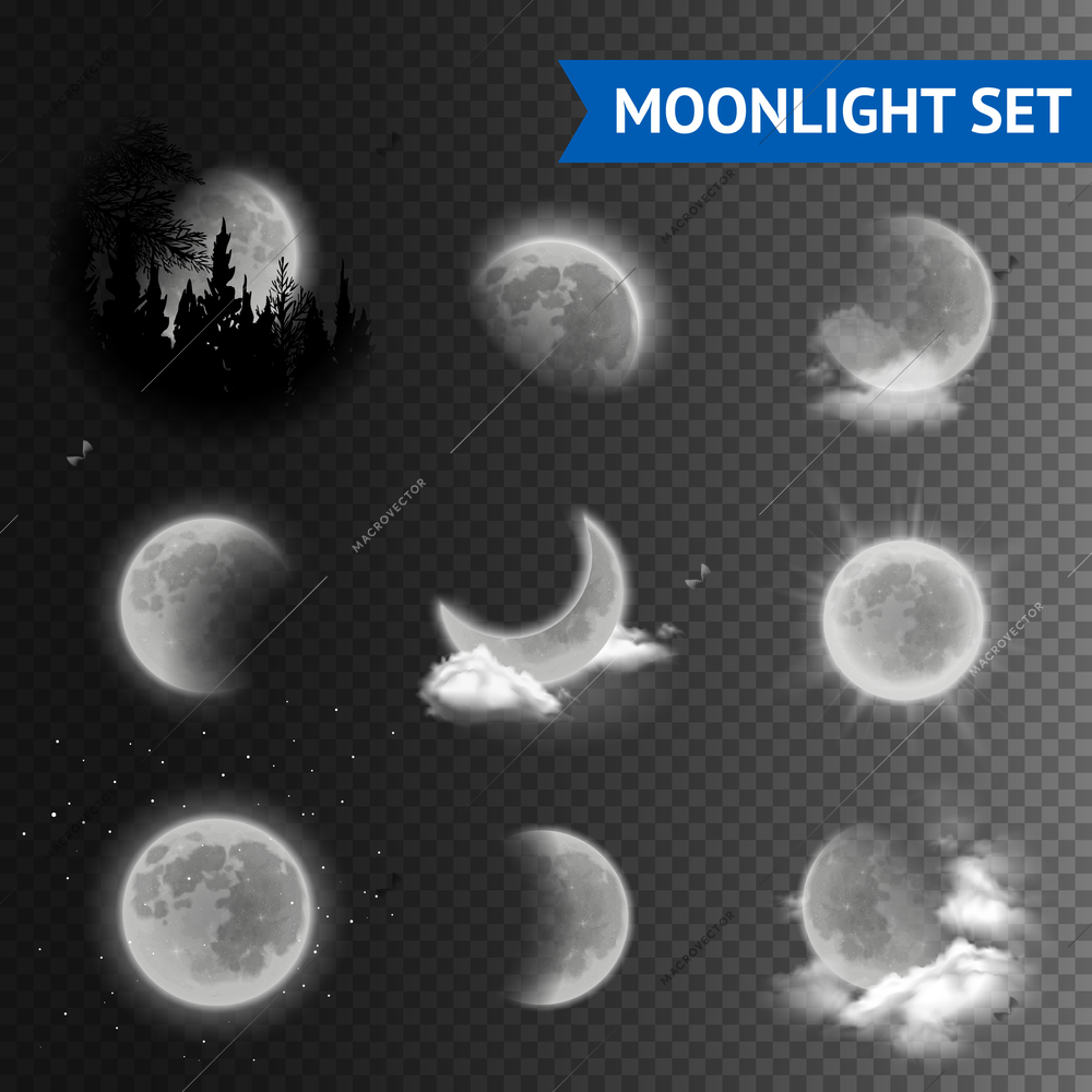 Moonlight set with moon phases with clouds on transparent background vector illustration