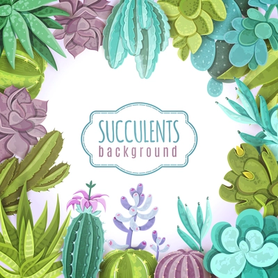 Succulents decorative background with different types of cactuses flat vector illustration