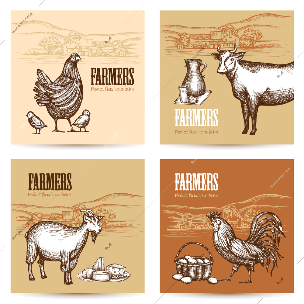 Farm market cards set with domestic animals and organic food sketch isolated vector illustration