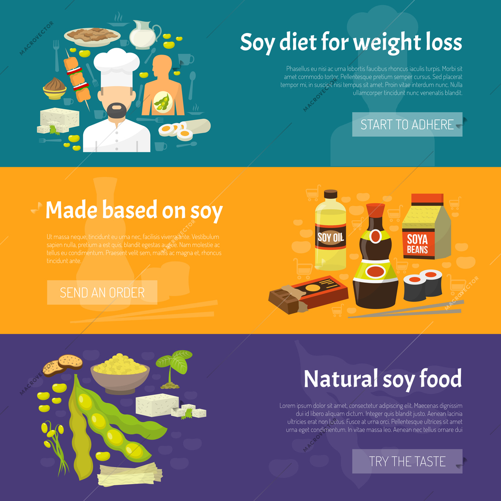 Soy food horizontal banner set with natural diet products isolated vector illustration