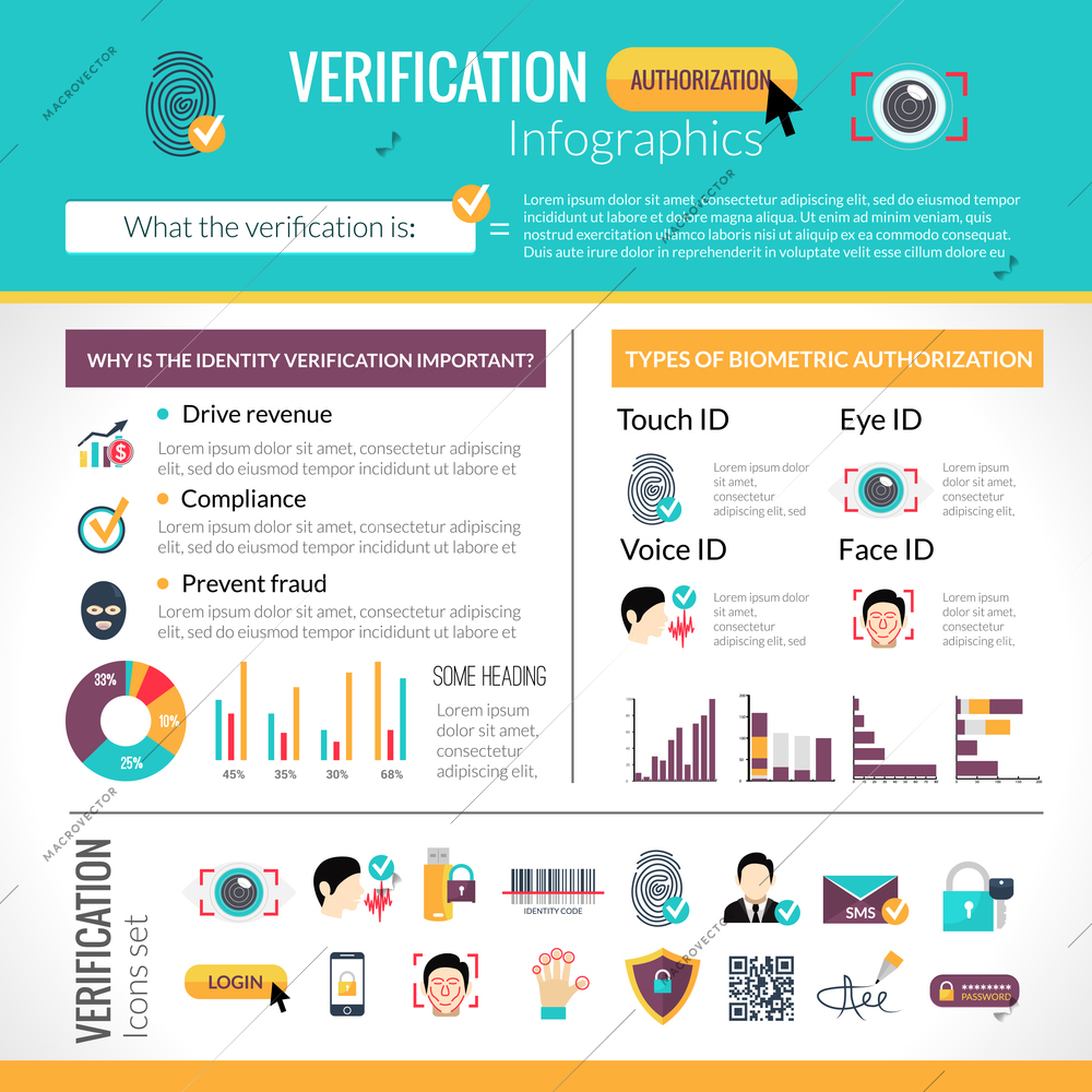 Verification infographics set with identity protection symbols and charts vector illustration