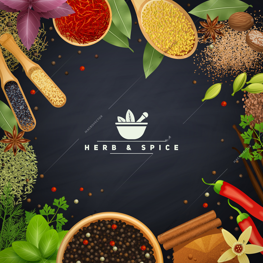 Beautiful frame with edges of cooking herbs and placers spices in wooden dishes and without realistic vector illustration