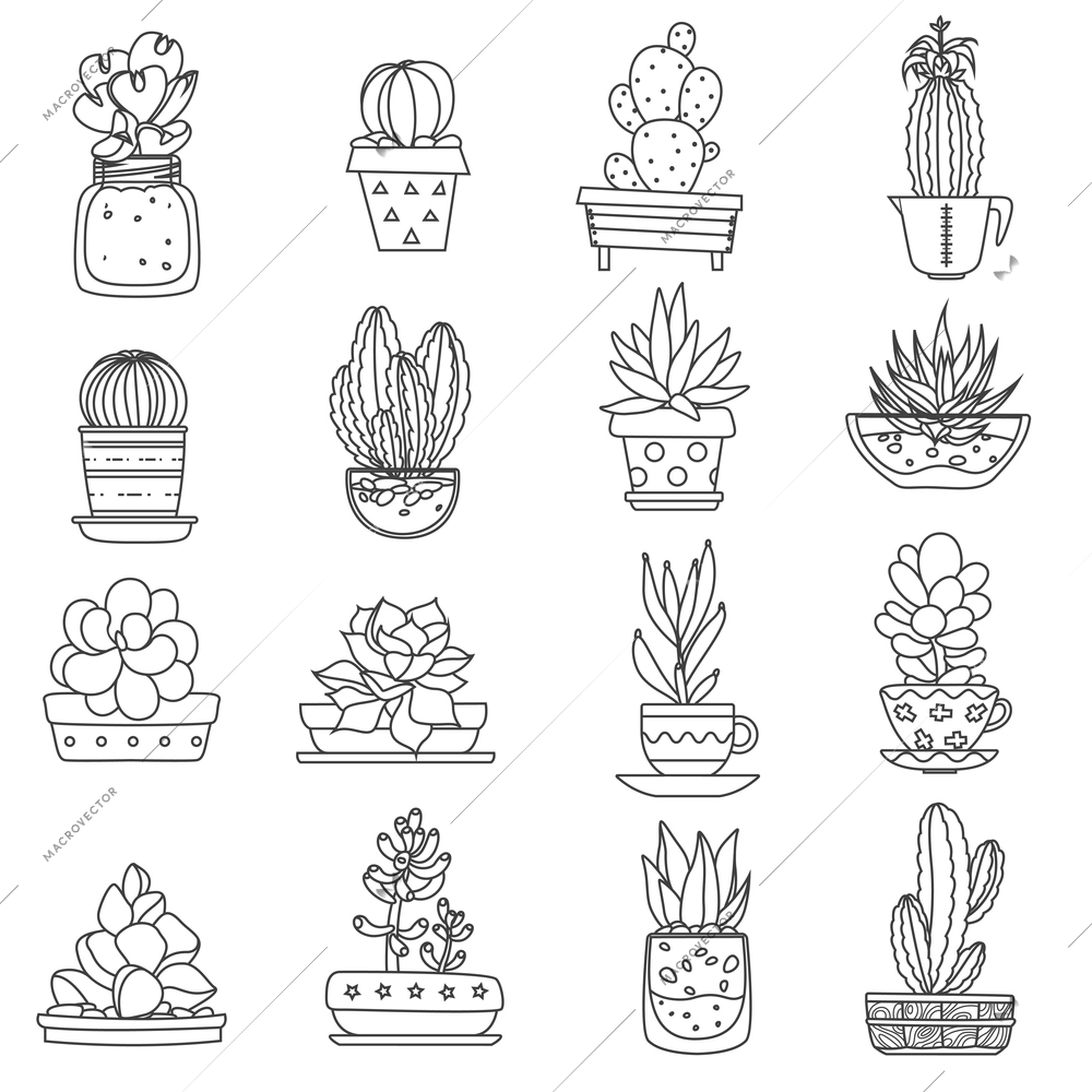 Cactus line black white icons set with different types of succulents flat isolated vector illustration