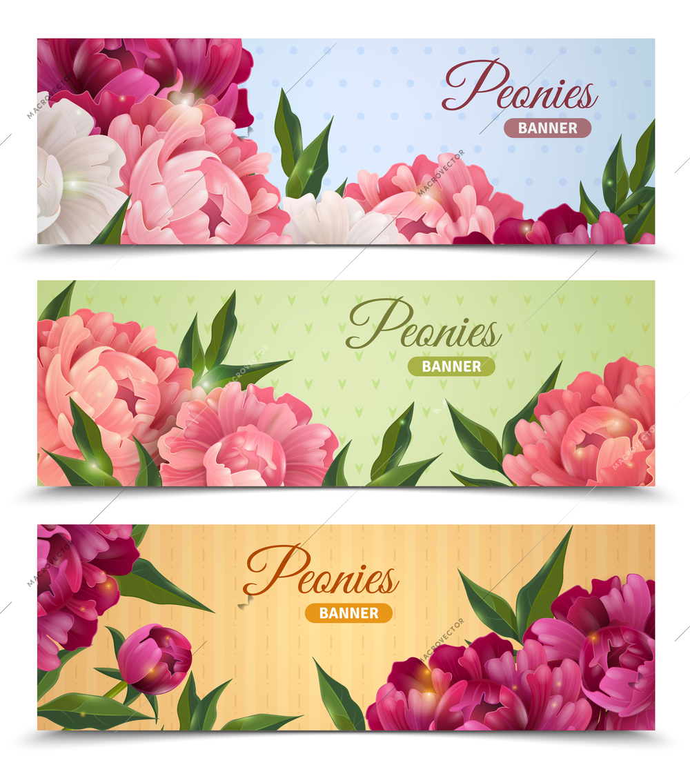 Flower horizontal realistic banners set with peonies isolated vector illustration