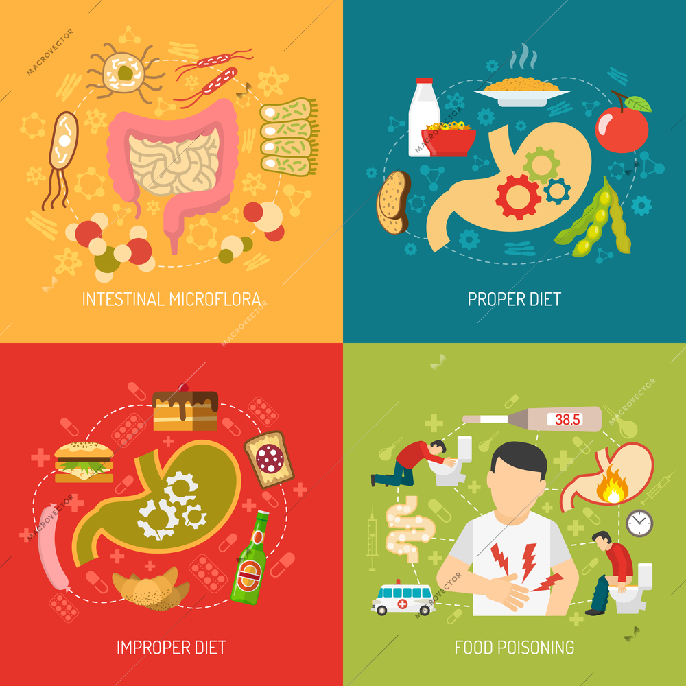 Digestion concept icons set with intestinal microflora and proper diet symbols flat isolated vector illustration