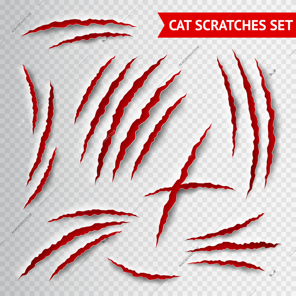 Cat claws scratches on transparent background realistic vector illustration