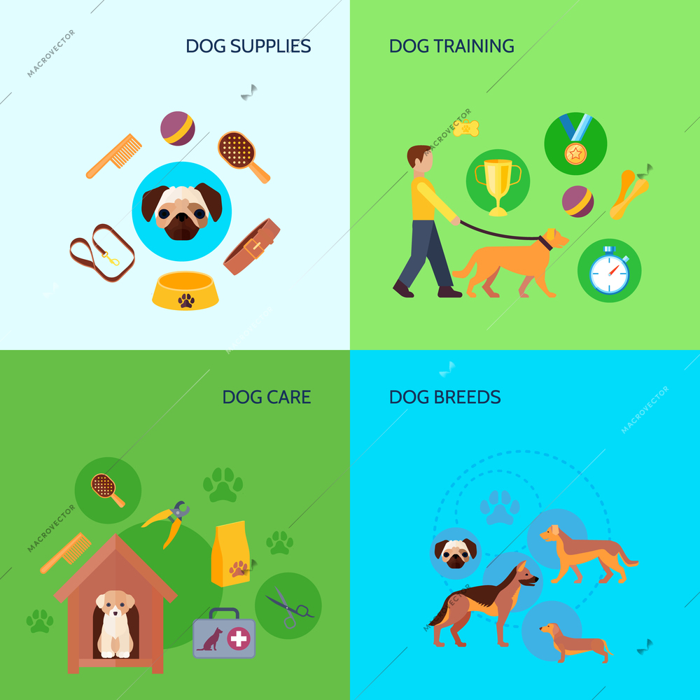 Dog breeds training and care products supplies 4 flat icons square composition banner abstract isolated vector illustration