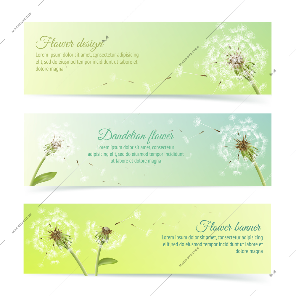 Collection of banners and ribbons with summer dandelion and pollens design elements isolated vector illustration