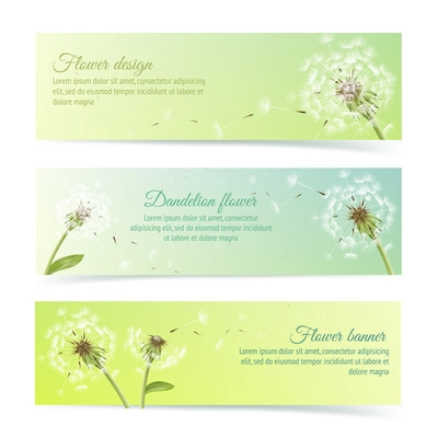 Collection of banners and ribbons with summer dandelion and pollens design elements isolated vector illustration