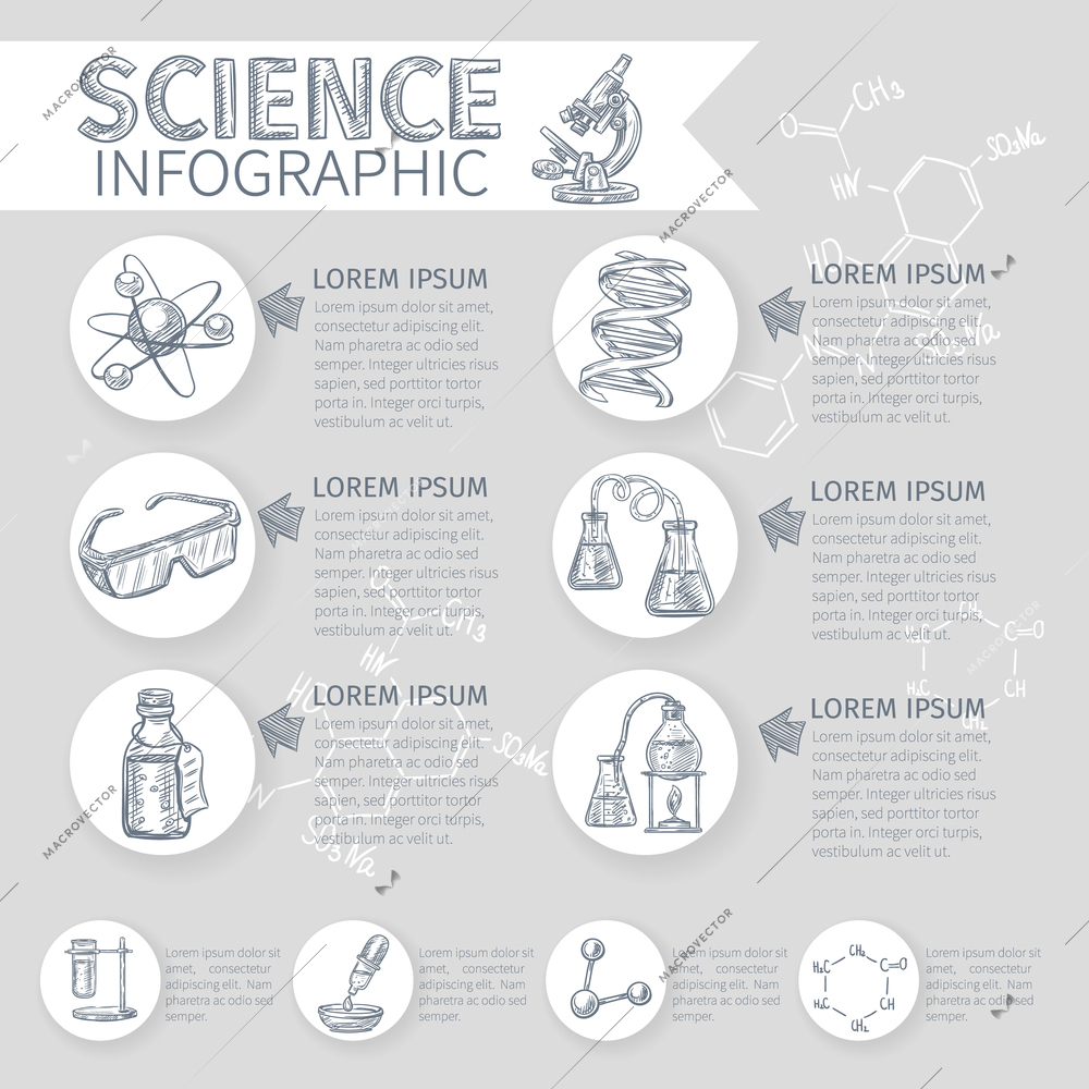 Science sketch infographic set with chemical and school symbols vector illustration