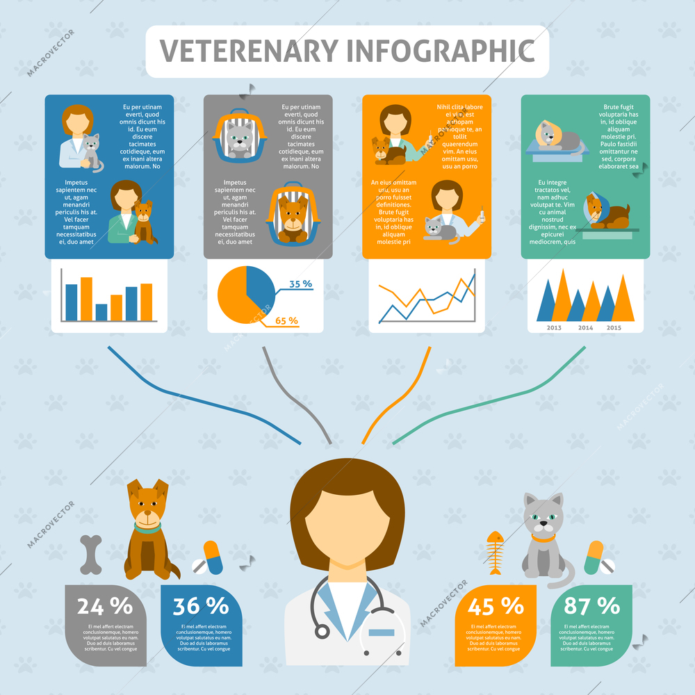 Veterinary clinic preventive and emergency treatments statistics and healthy feeding advice infografics layout banner abstract vector illustration