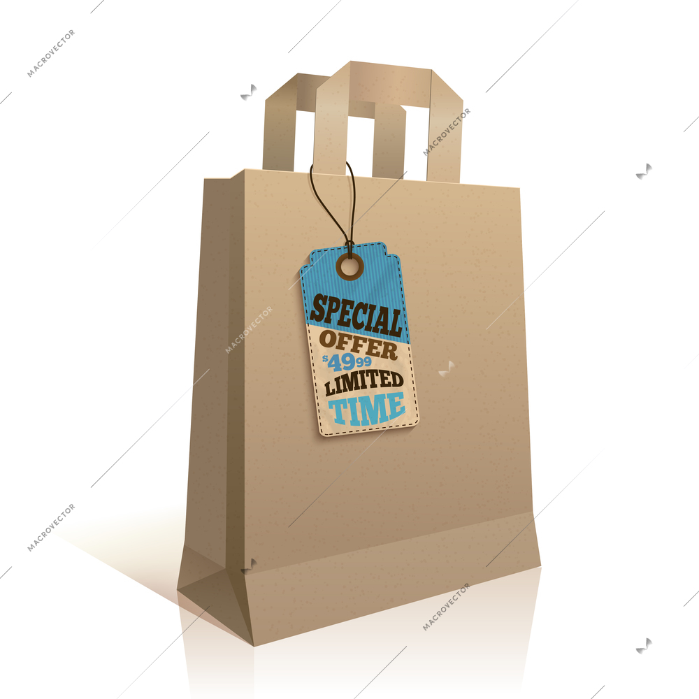 Big carry paper sale shopping bag with special price offer tag template isolated vector illustration