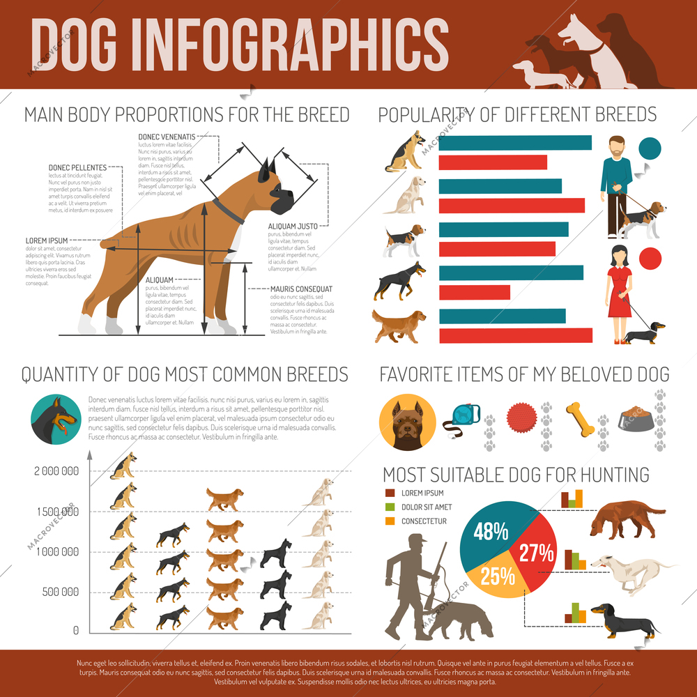 Dog infographics set with breeds symbols and charts vector illustration