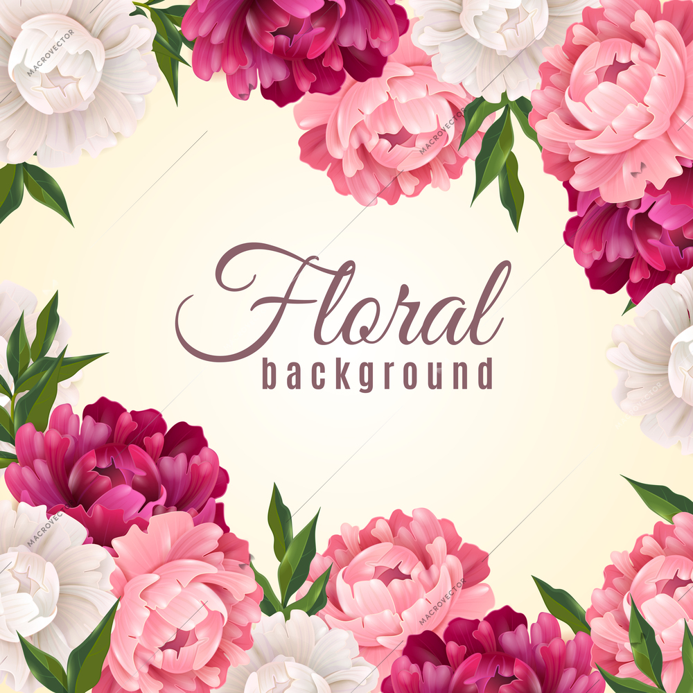 Floral realistic background with peonies for postcard or greeting vector illustration