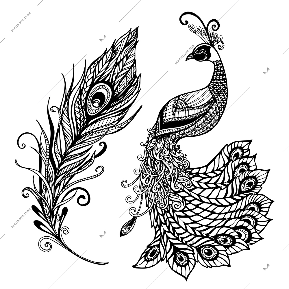 Decorative stylized peacock bird feather art deco design template for wall frames doodle black abstract vector illustration