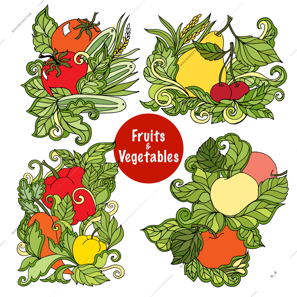 Four colorful ornamental fruits and vegetables compositions with succulent leaves country style eco abstract isolated vector illustration