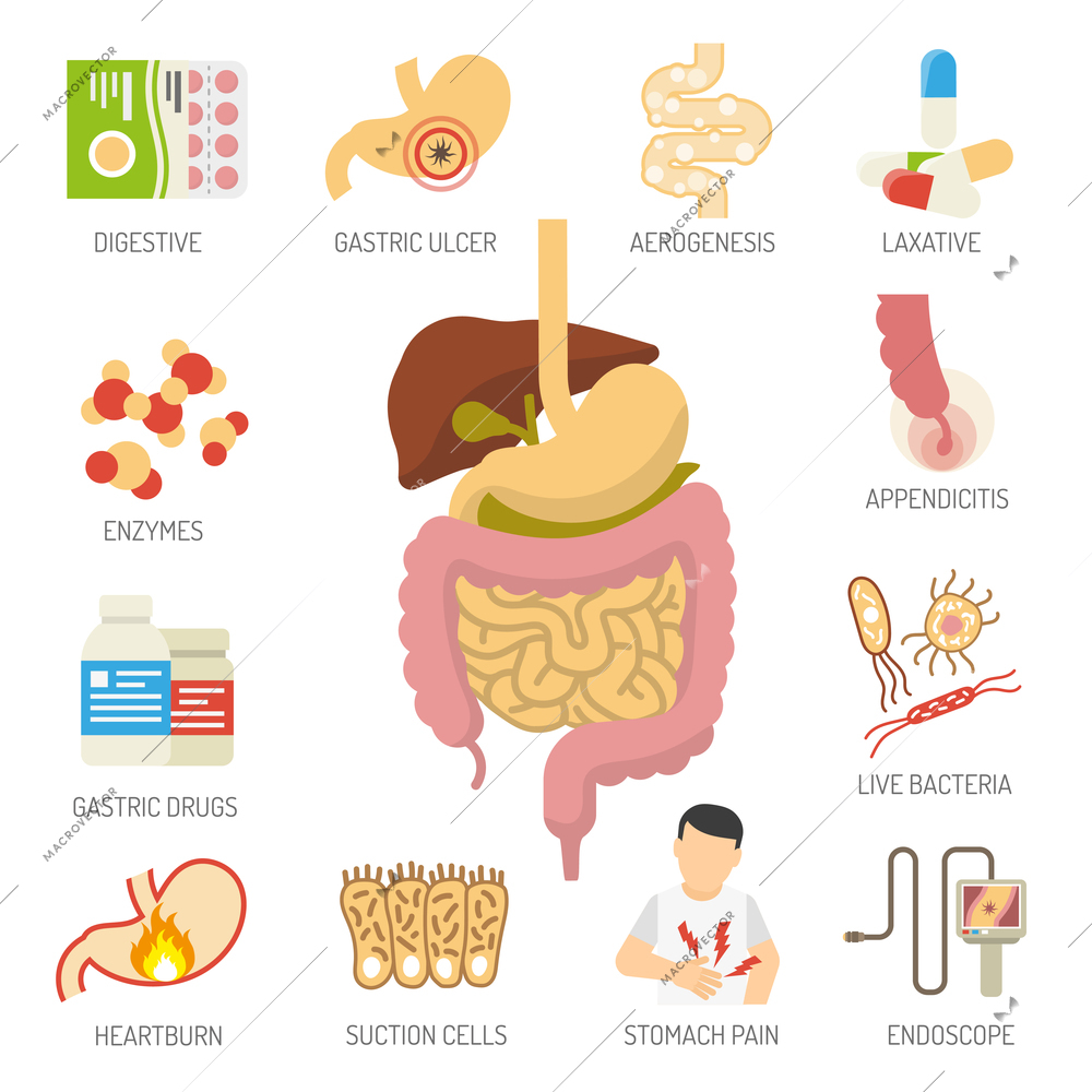 Digestive system icons set with health problems symbols flat isolated vector illustration