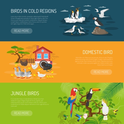 Flat horizontal banners set of birds in cold regions domestic birds and jungle birds vector illustration