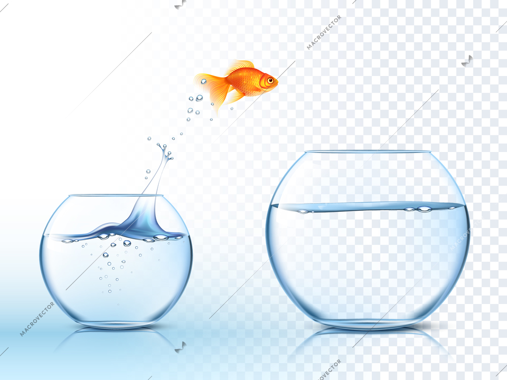 Goldfish jumping out one fishbowl to another aquarium with clear water against light checkered background poster vector illustration