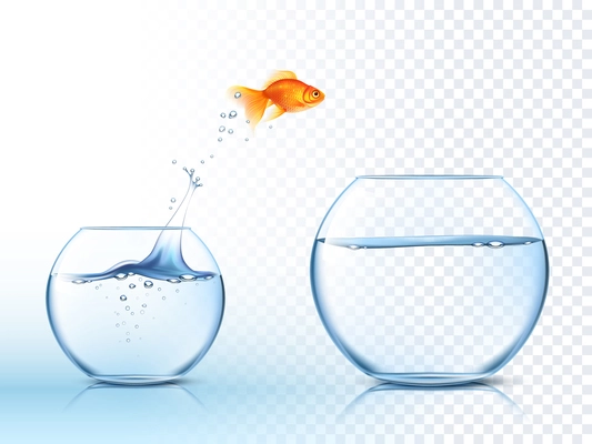 Goldfish jumping out one fishbowl to another aquarium with clear water against light checkered background poster vector illustration